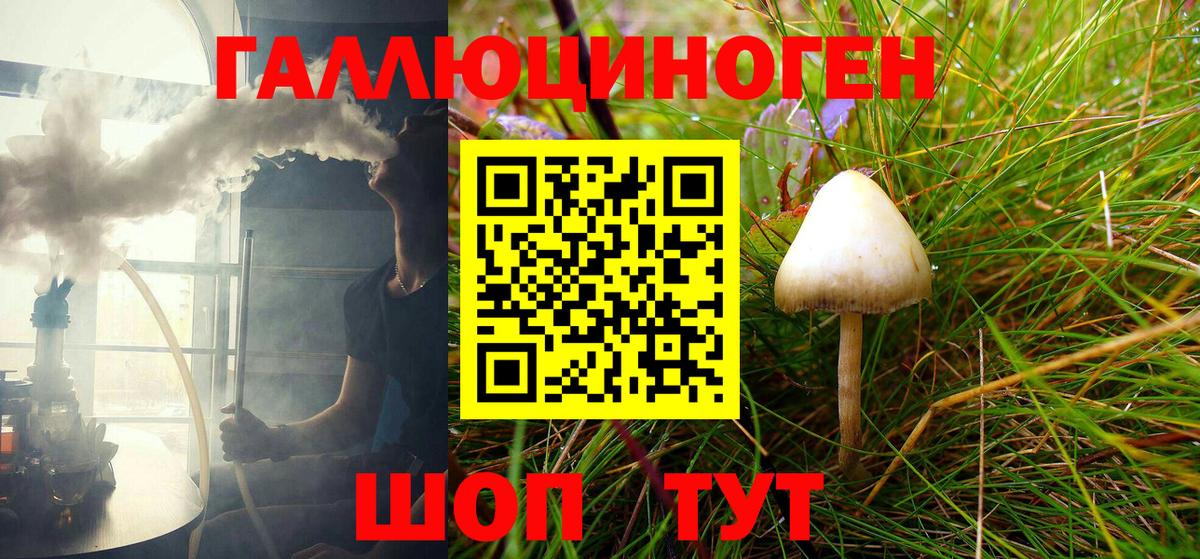 Псилоцибиновые грибы GOLDEN TEACHER Новокубанск