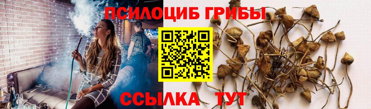 Новокубанск  Галлюциногенные грибы прущие грибы  Вход с VPN 